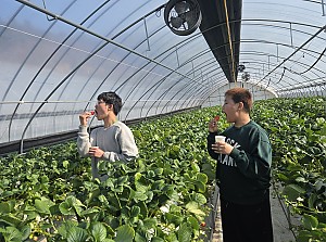 청소년 방과후활동서비스 (1월)