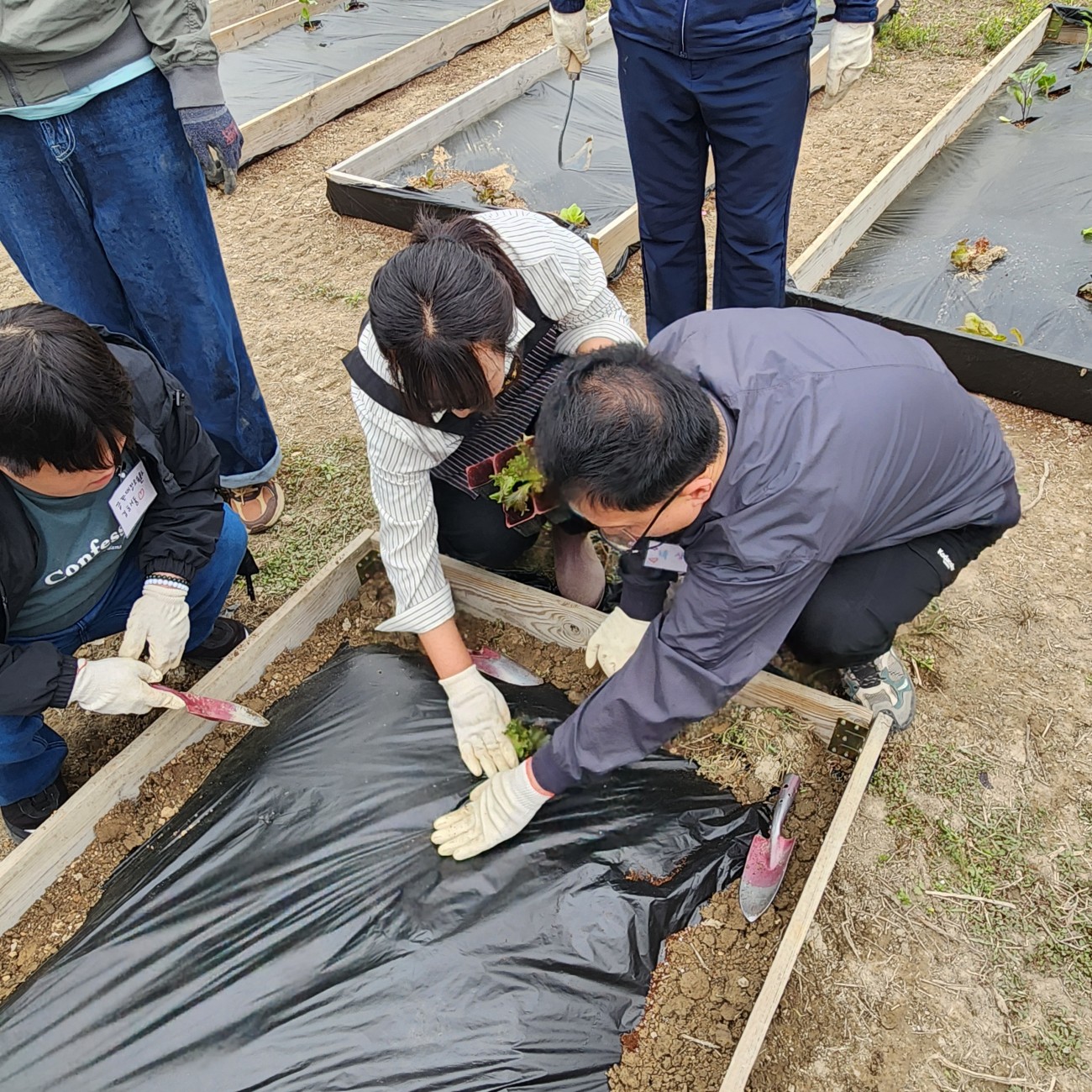 eccc9f231eb7b8e1819bf0e3a3aa561e_1778574911_5713.jpg