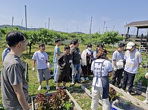특별활동
