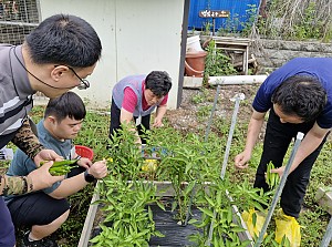 특별활동